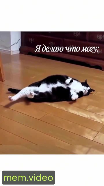 Кадр на 0:07