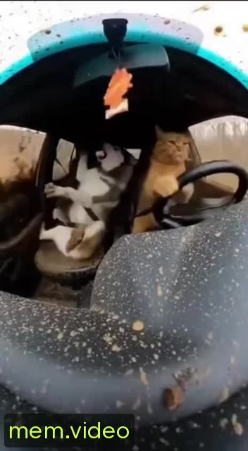 Кадр на 0:01