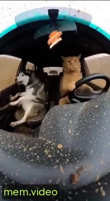 Кадр на 0:06