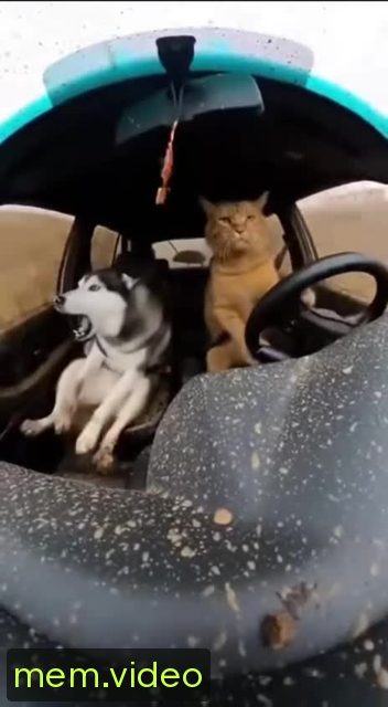Кадр на 0:09