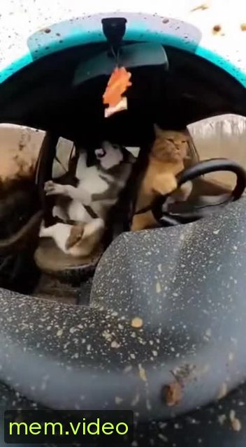 Кадр на 0:01