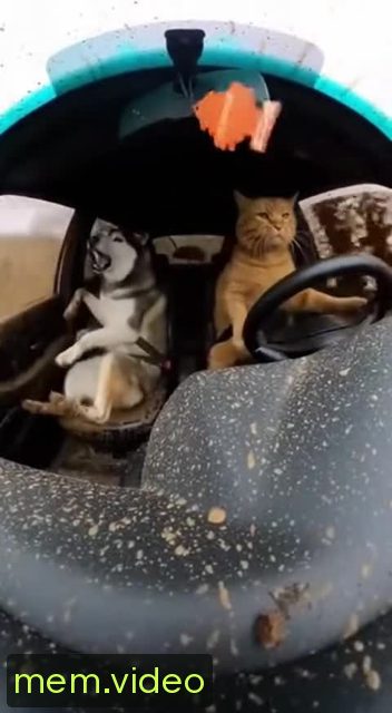 Кадр на 0:04
