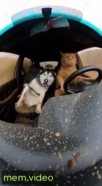 Кадр на 0:05
