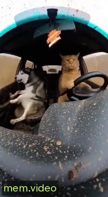 Кадр на 0:06