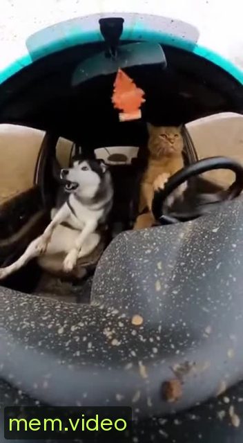 Кадр на 0:08