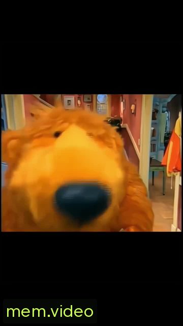 Кадр на 0:05