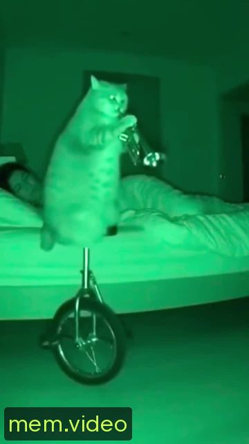 Кадр на 0:04