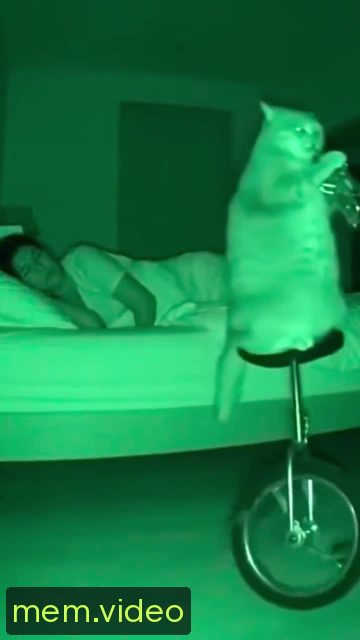Кадр на 0:05