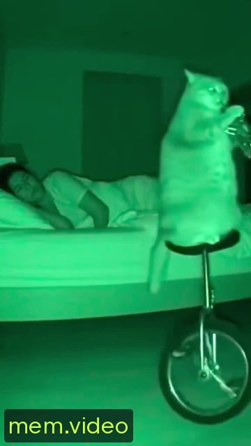 Кадр на 0:05