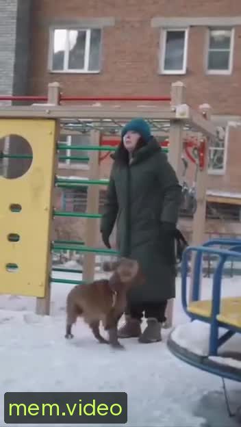 Кадр на 0:04