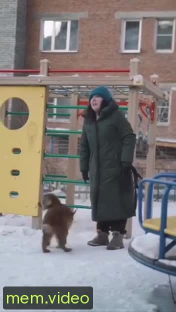 Кадр на 0:05
