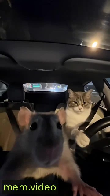 Кадр на 0:00