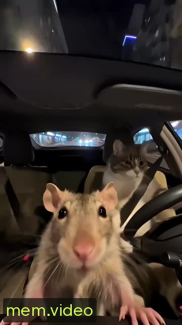 Кадр на 0:01
