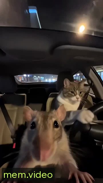 Кадр на 0:02