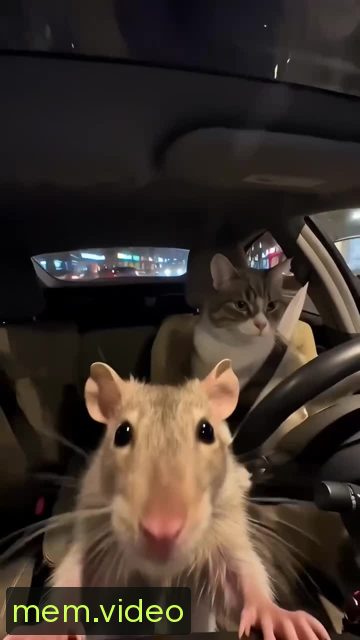 Кадр на 0:03