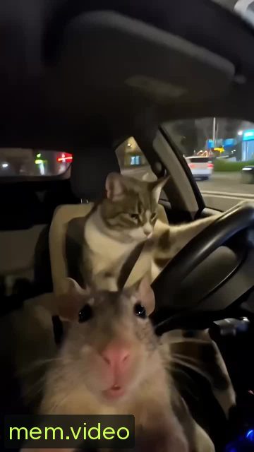 Кадр на 0:06