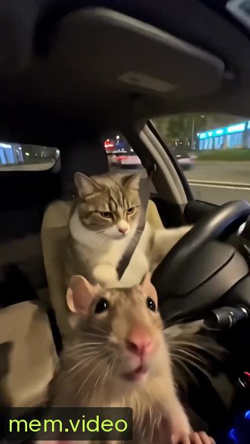 Кадр на 0:07