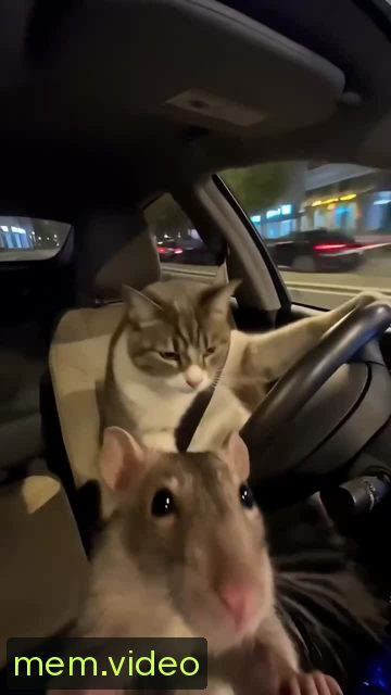 Кадр на 0:07
