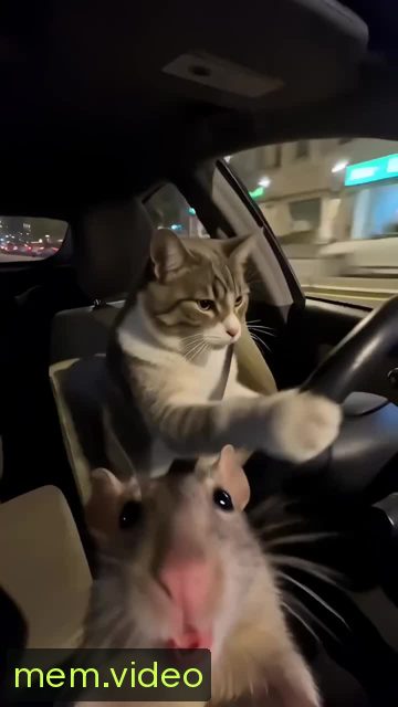 Кадр на 0:08
