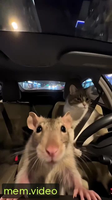 Кадр на 0:01