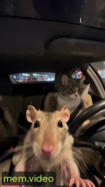 Кадр на 0:03