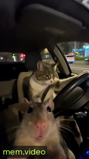 Кадр на 0:06