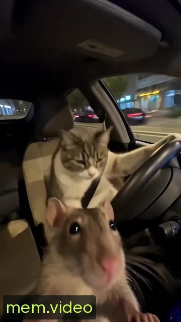 Кадр на 0:07