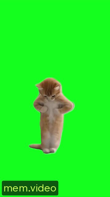 Кадр на 0:08