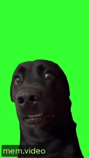 Кадр на 0:00