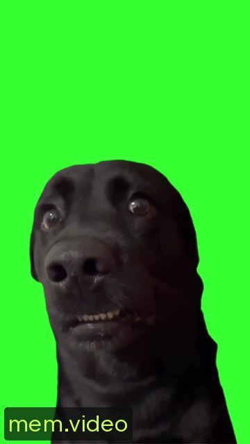 Кадр на 0:02