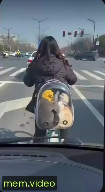 Кадр на 0:00