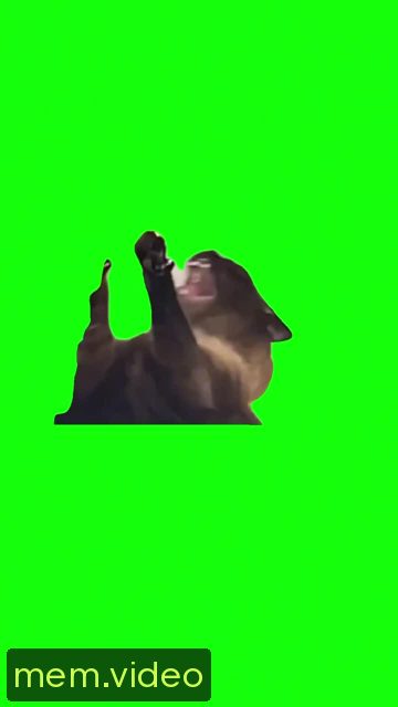 Кадр на 0:03