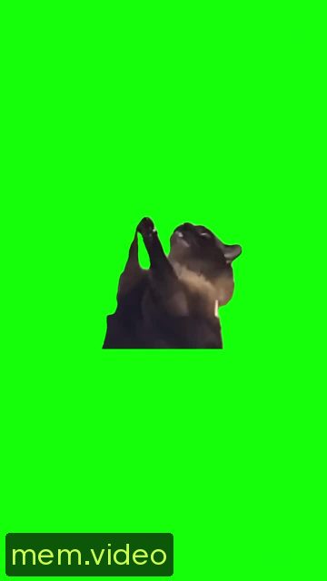 Кадр на 0:04