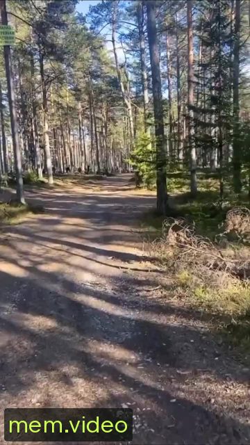 Кадр на 0:00