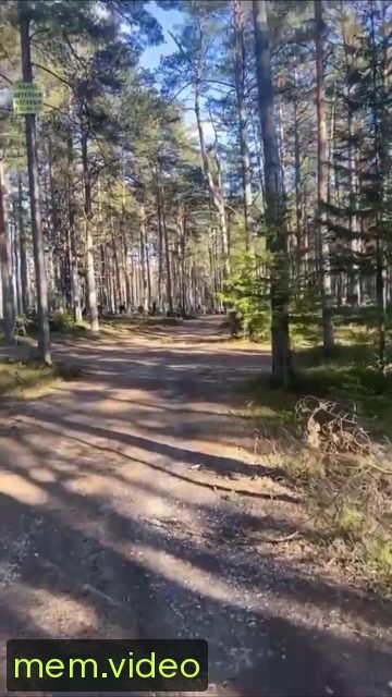 Кадр на 0:00
