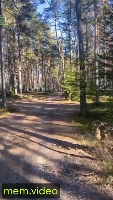 Кадр на 0:01