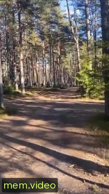 Кадр на 0:02