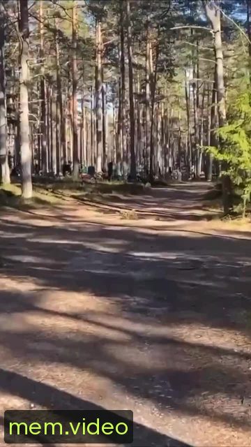 Кадр на 0:03