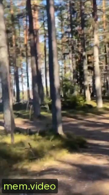 Кадр на 0:04