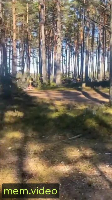 Кадр на 0:05