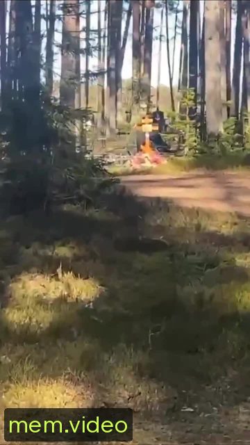 Кадр на 0:06