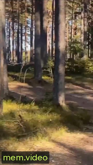 Кадр на 0:07