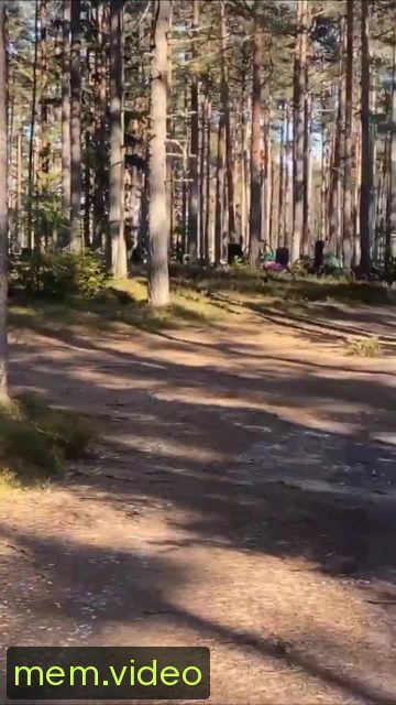 Кадр на 0:07