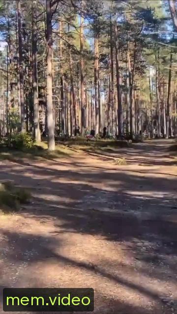 Кадр на 0:08