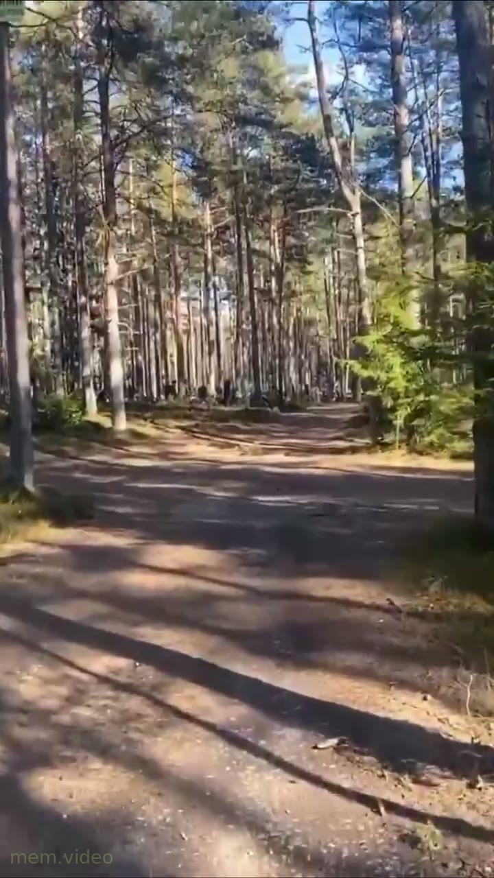 Кадр: Алексей Жидковский: «Это не палатки, это кладбище»
