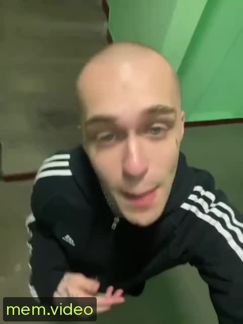 Кадр на 0:00