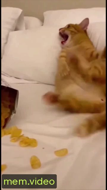 Кадр на 0:01