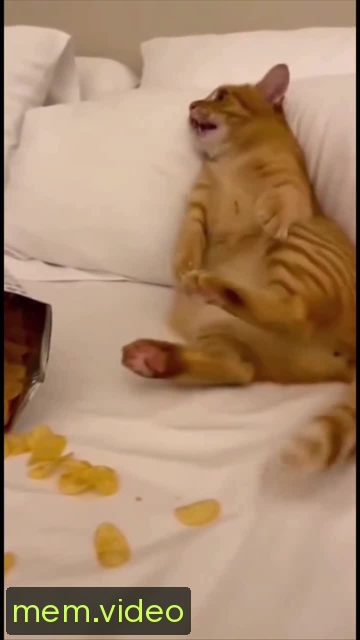 Кадр на 0:02