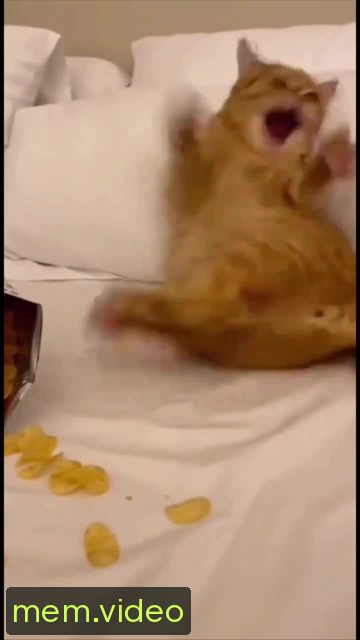 Кадр на 0:04