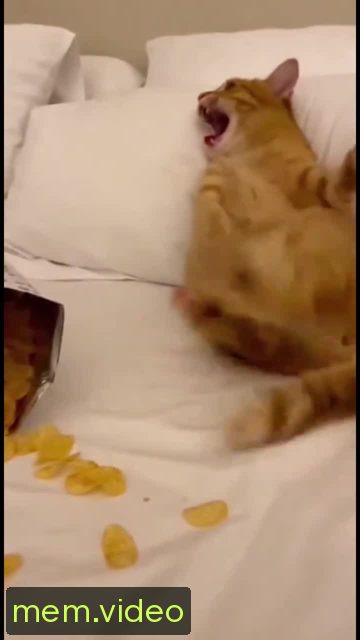 Кадр на 0:01